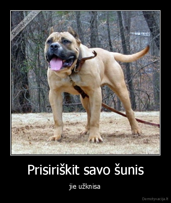 Prisiriškit savo šunis