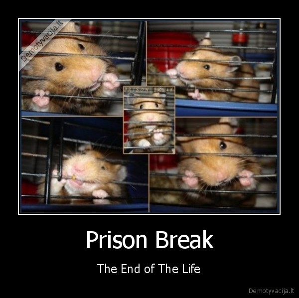 Prison Break