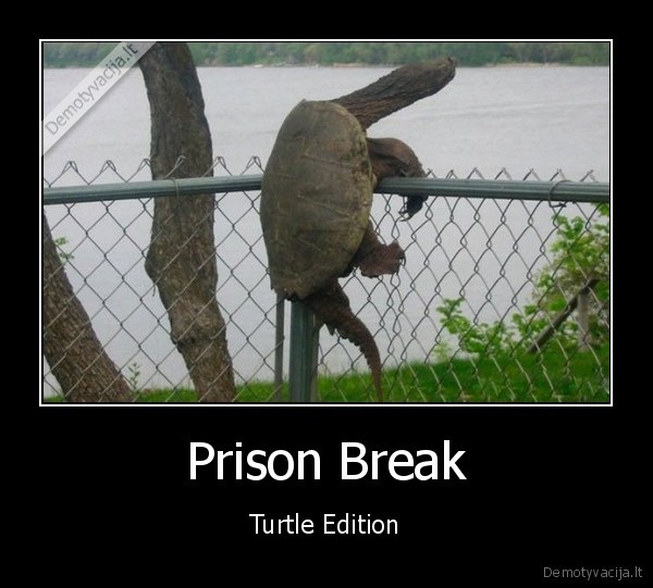 Prison Break