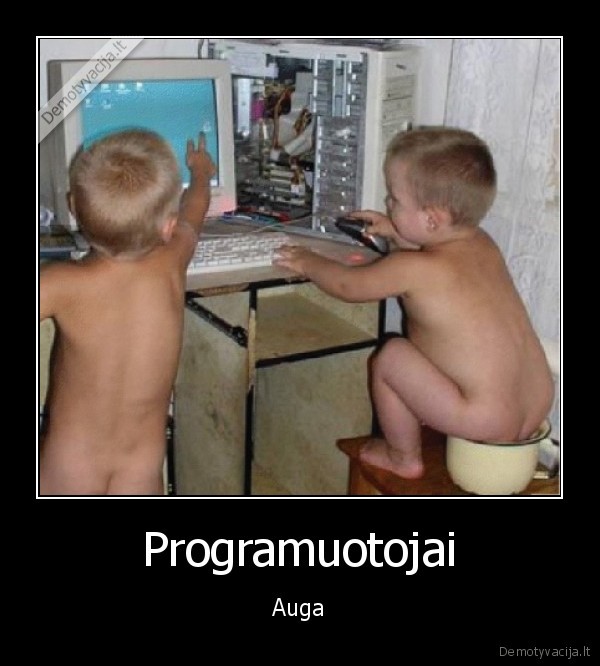 Programuotojai