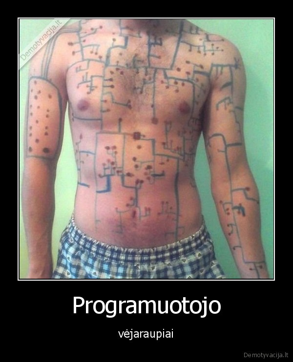 Programuotojo