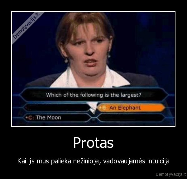 Protas