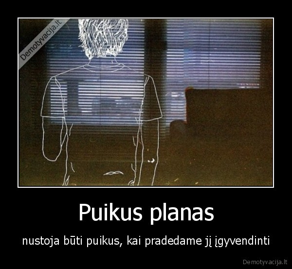 Puikus planas