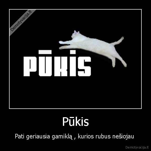 Pūkis