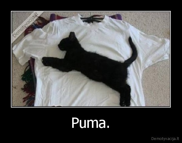 Puma.