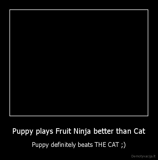 dog,puppy,plays,fruit, ninja,cute,beats,cat