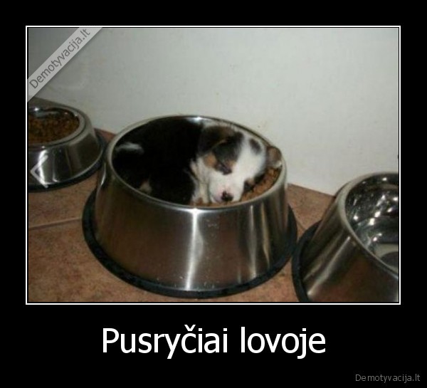 Pusryčiai lovoje