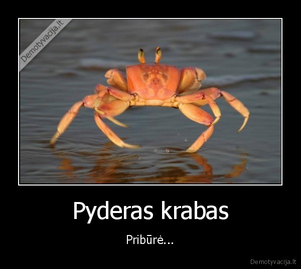 Pyderas krabas