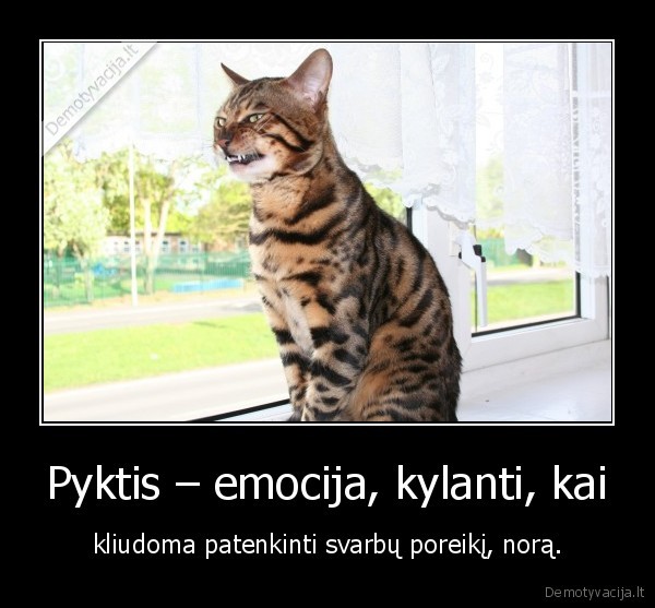 Pyktis – emocija, kylanti, kai