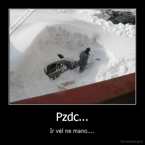 Pzdc...