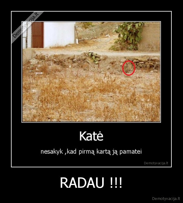 radau, kate, 