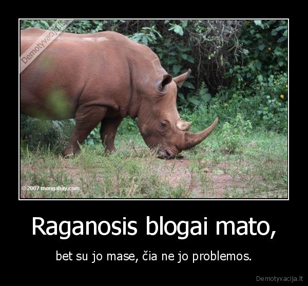 Raganosis blogai mato,