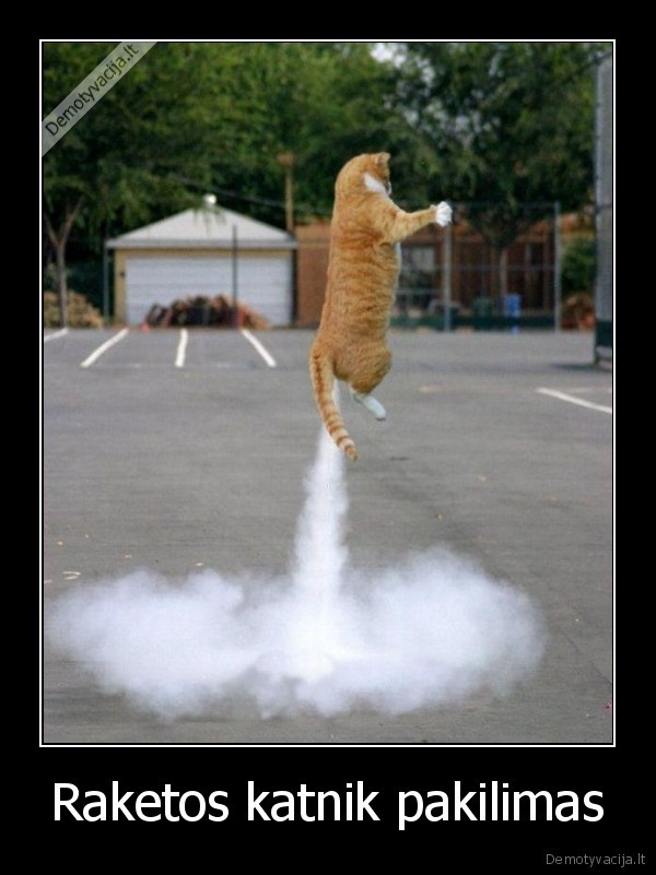 Raketos katnik pakilimas