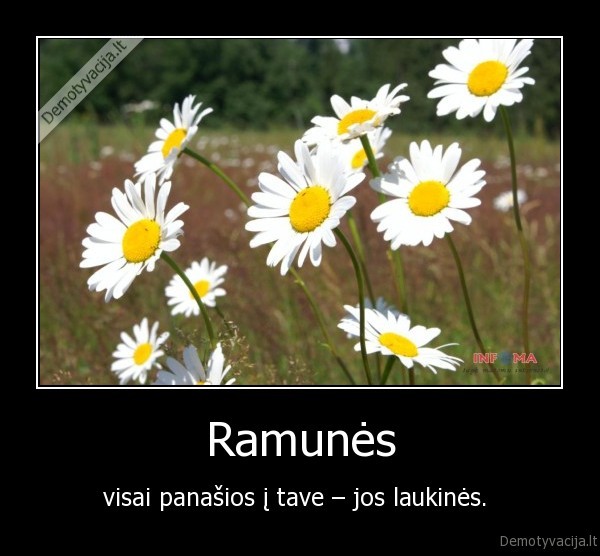 Ramunės