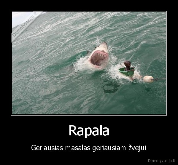 Rapala