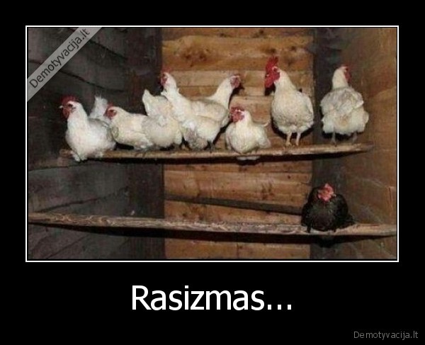 Rasizmas...