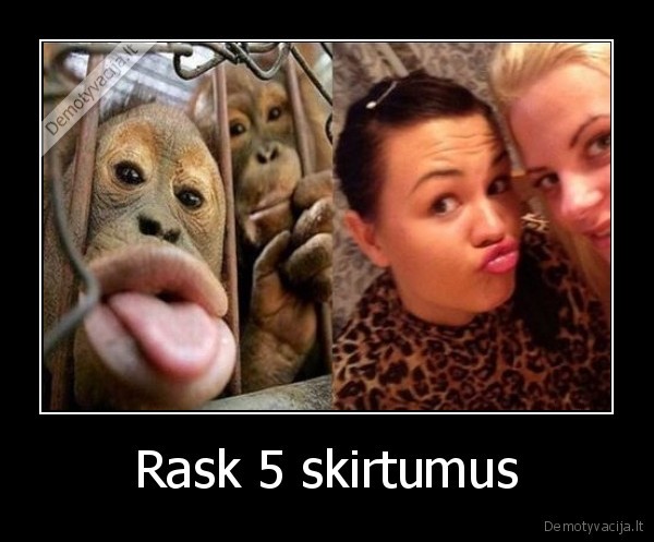 Rask 5 skirtumus