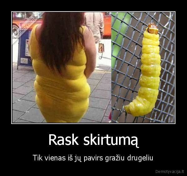 Rask skirtumą