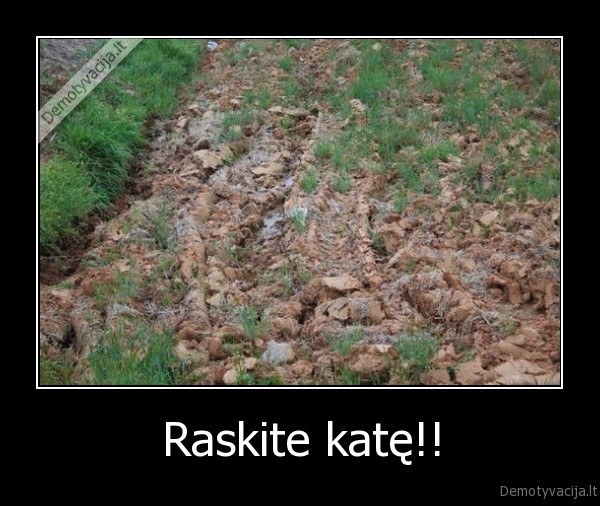 Raskite katę!!