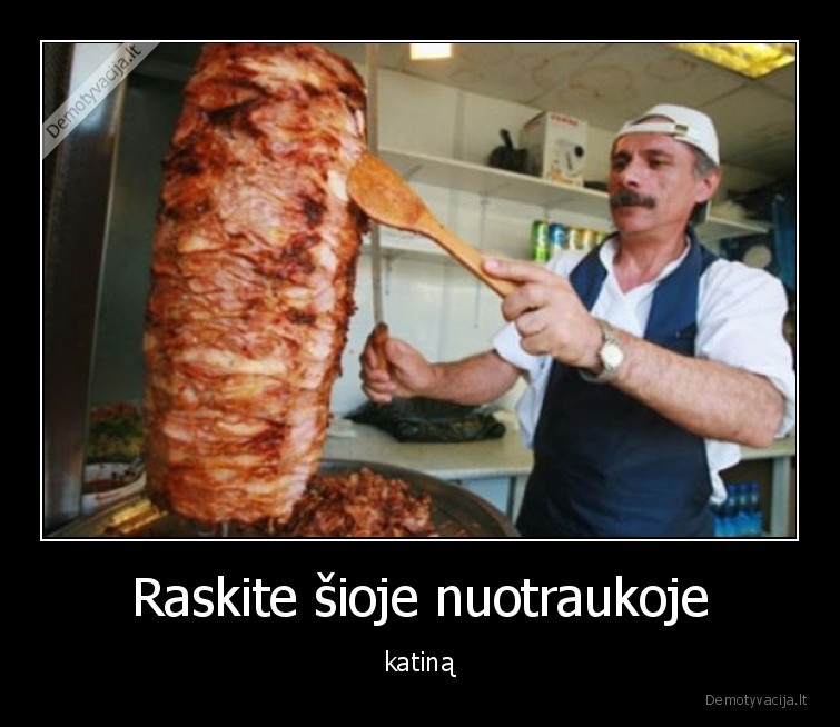 katinas,rasti,kebabas,kur