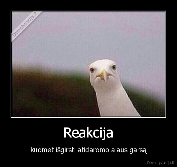 Reakcija