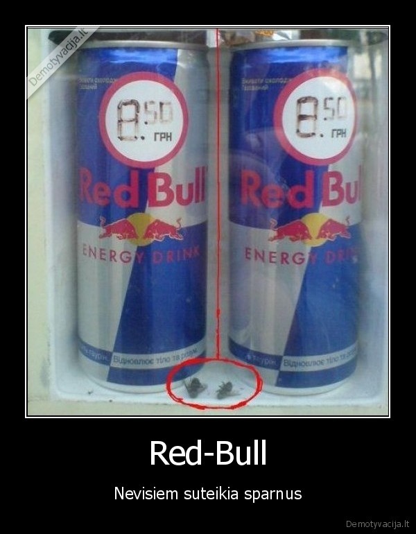 Red-Bull