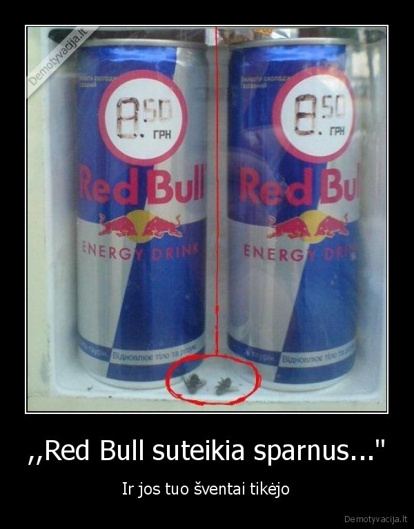 ,,Red Bull suteikia sparnus...''