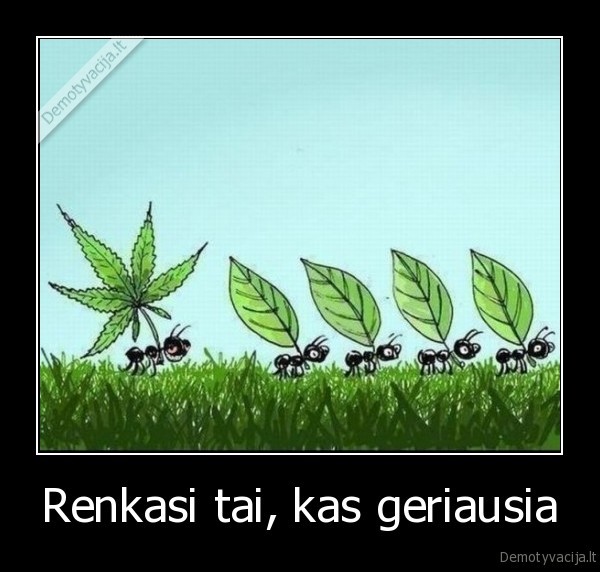 Renkasi tai, kas geriausia