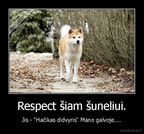 Respect šiam šuneliui.