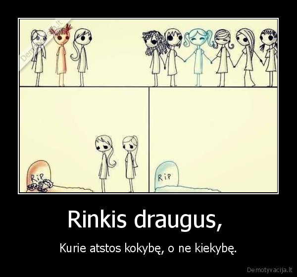 Rinkis draugus, 