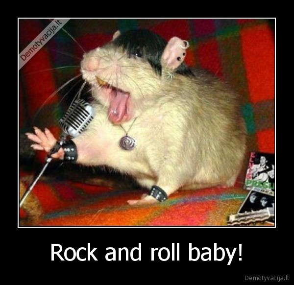 Rock and roll baby!