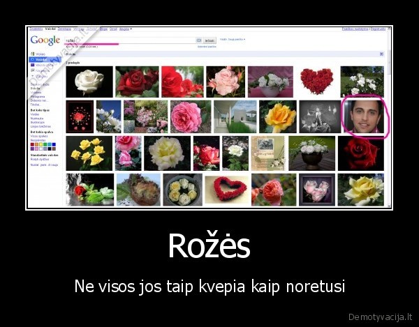 rozes,rozes,radzi,google