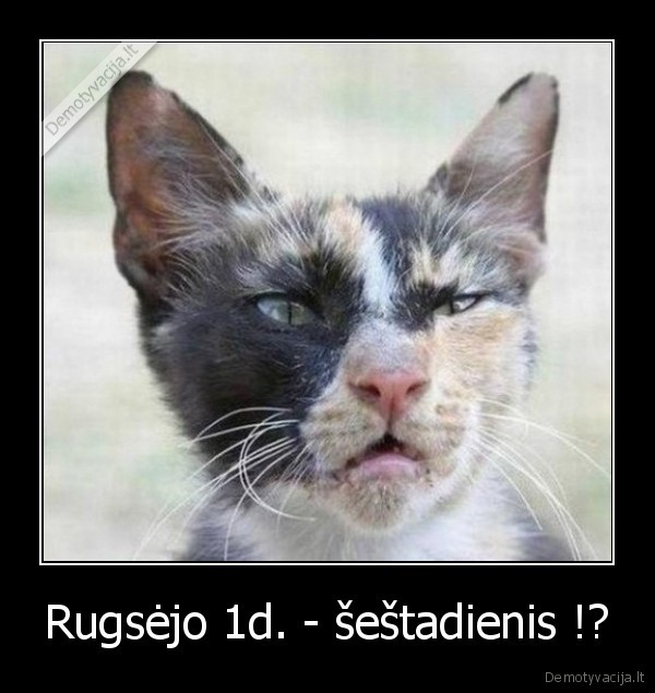 Rugsėjo 1d. - šeštadienis !?