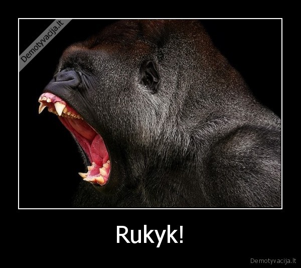 Rukyk!