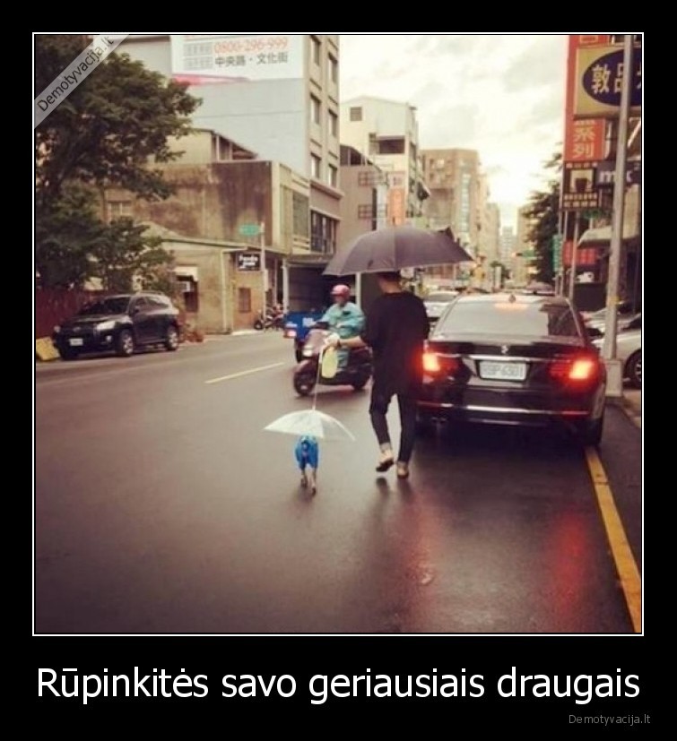 draugai,rupintis,suo,geriausias