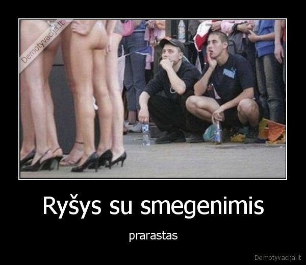 rysys,smegenys