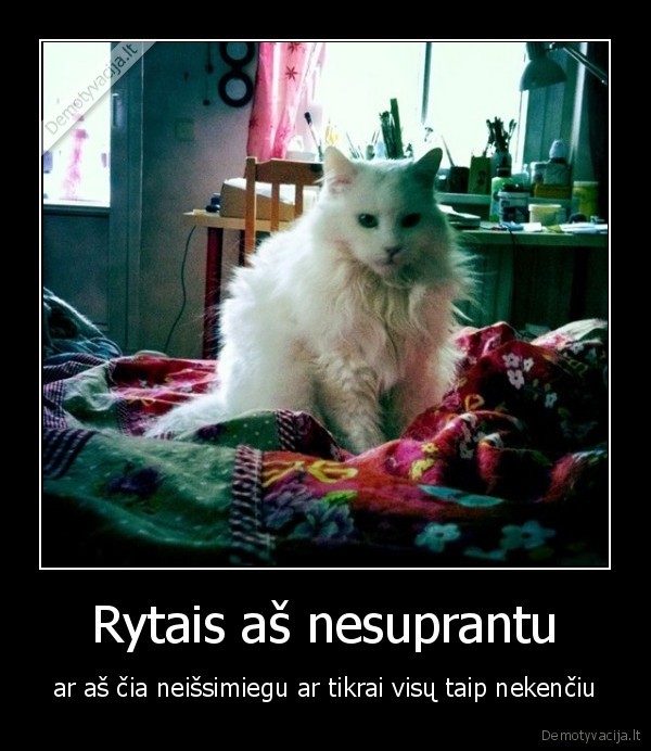 rytas,nekesti