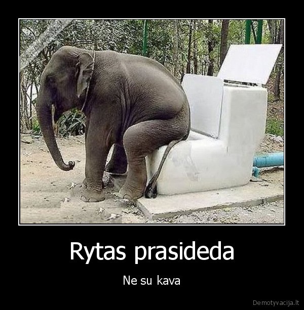 Rytas prasideda