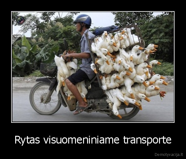 Rytas visuomeniniame transporte