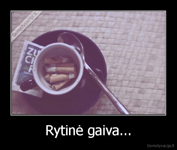 Rytinė gaiva...