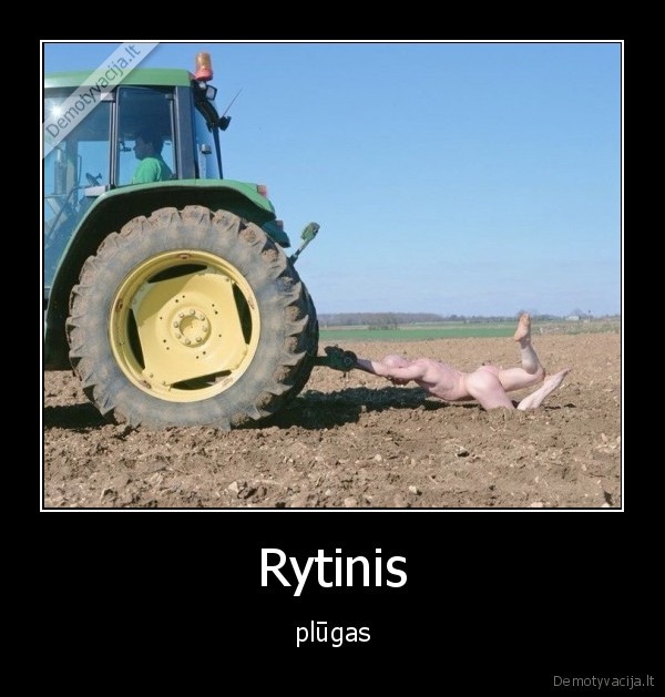 plugas,rytas