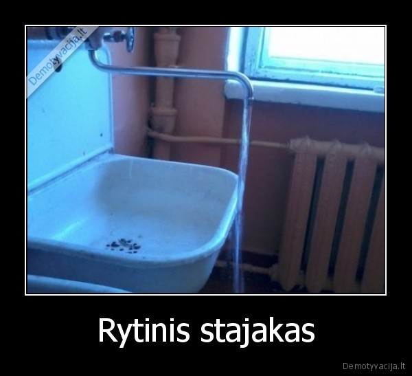 Rytinis stajakas