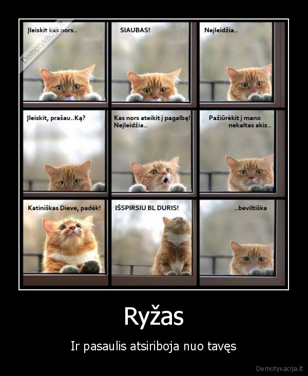 Ryžas