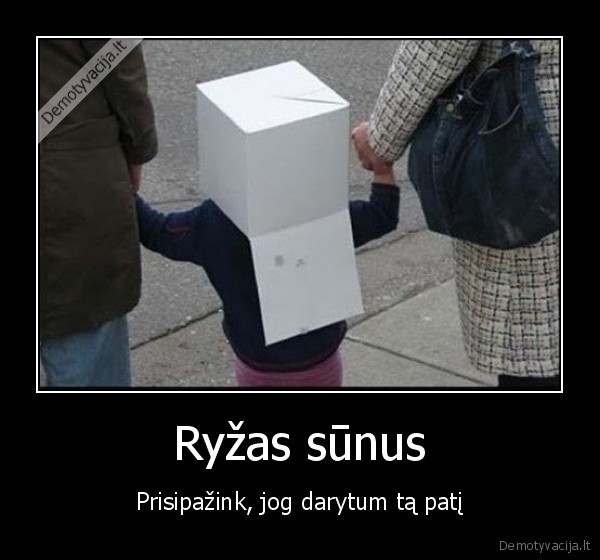 ryzas