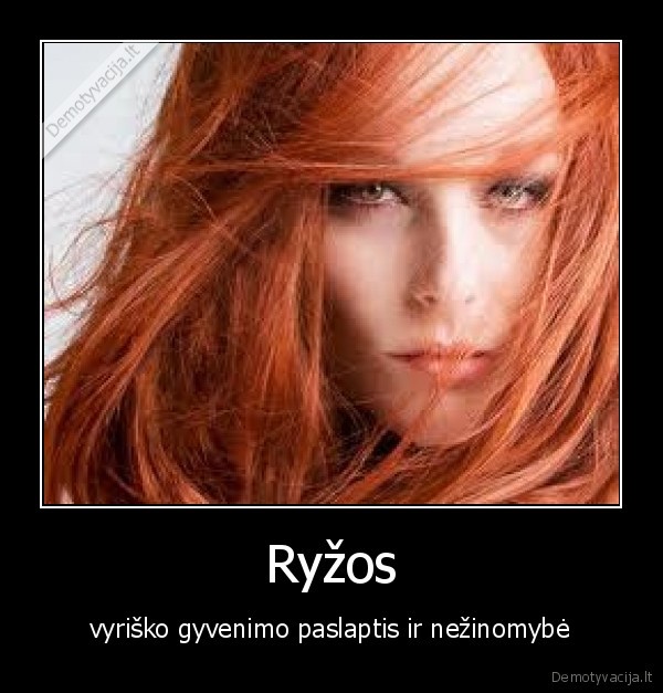 Ryžos