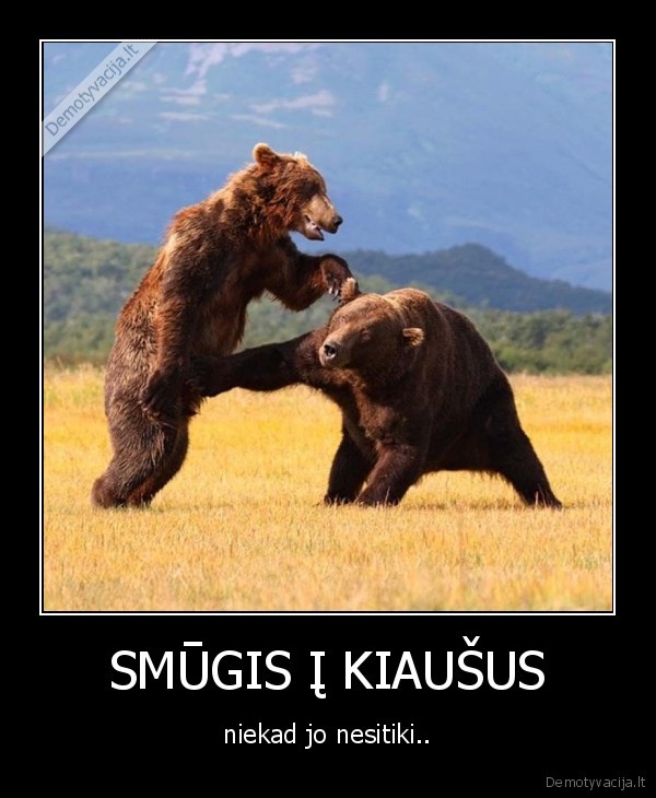 SMŪGIS Į KIAUŠUS