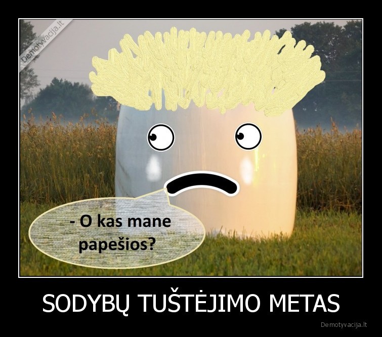 kaimas,sodyba,zeme,siaudai