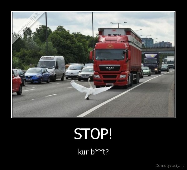 STOP!