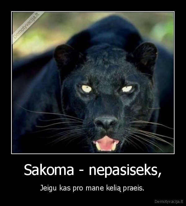 Sakoma - nepasiseks,