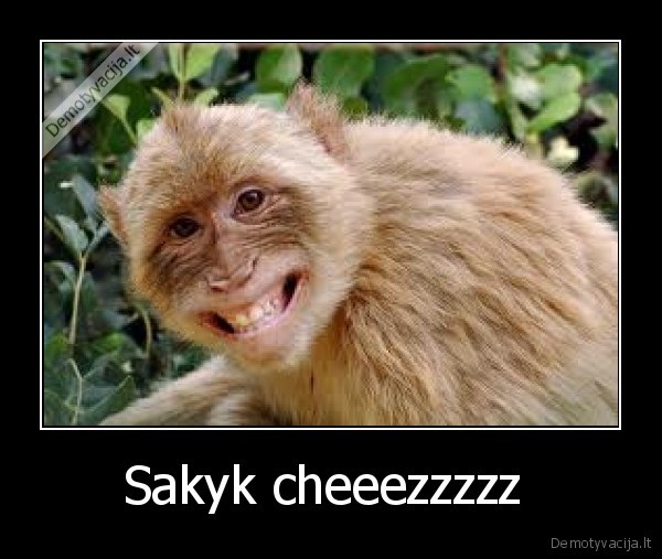 Sakyk cheeezzzzz 